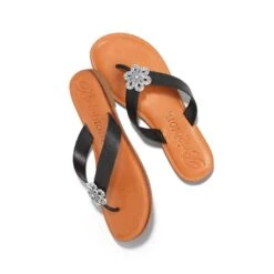 Aster Flower Thongs -Jewelry Store aster flower thongs black 1