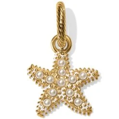 Beach Star Charm Necklace -Jewelry Store beach star charm necklace gold 3 e21bdf08 dcd2 4498 a00b b6e4a74360d0