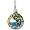 Florida Sunshine Charm -Jewelry Store florida sunshine charm multi 0 3b52a317 5aad 4b8f a3de 425f6288b668