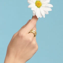 Inner Circle Double Ring 17 Inner Circle Double Ring -Jewelry Store inner circle double ring gold 2